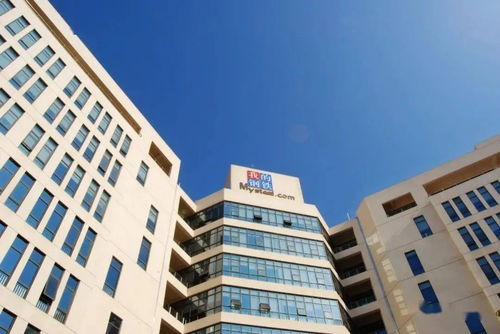 負(fù)反饋未竟，鋼價(jià)磨底中——Mysteel鋼鐵市場(chǎng)周度觀察與房地產(chǎn)咨詢(xún)解析